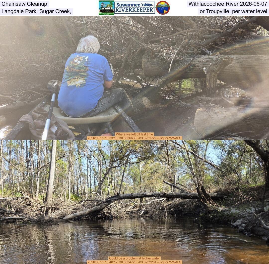 Chainsaw Cleanup, Withlacoochee River 2026-06-07, Langdale Park, Sugar Creek, or Troupville, per water level