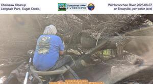 [Chainsaw Cleanup, Withlacoochee River 2026-06-07, Langdale Park, Sugar Creek, or Troupville, per water level]