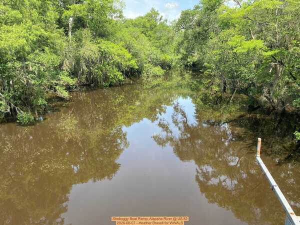 [Sheboggy Boat Ramp, Alapaha River @ US 82 2026-06-07 --Heather Brasell for WWALS]
