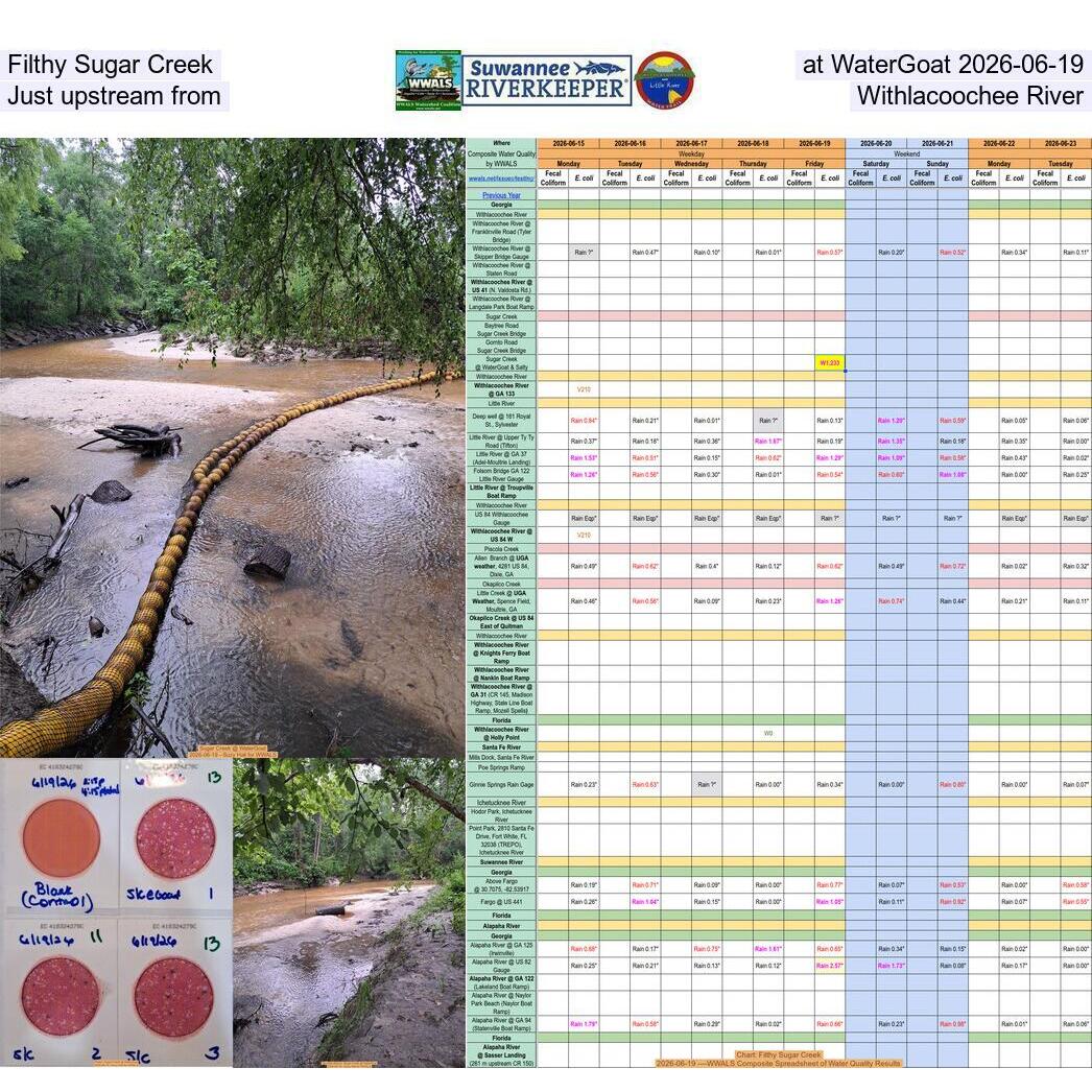 Filthy Sugar Creek at WaterGoat 2026-06-19, Just upstream from Withlacoochee River
