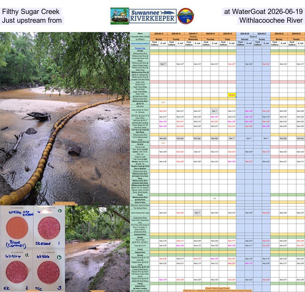 [Filthy Sugar Creek at WaterGoat 2026-06-19, Just upstream from Withlacoochee River]