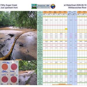 [Filthy Sugar Creek at WaterGoat 2026-06-19, Just upstream from Withlacoochee River]