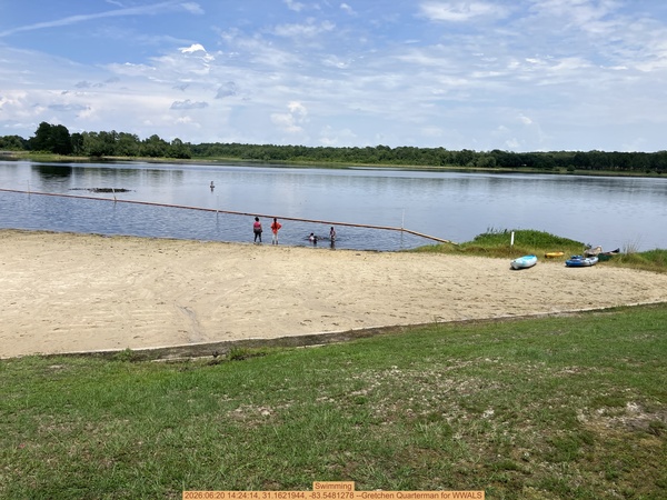 [Swimming, 2026:06:20 14:24:14, 31.1621944, -83.5481278 --Gretchen Quarterman for WWALS]