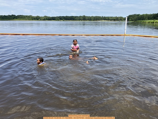 Swimming and standing, 2026:06:20 14:28:09, 31.1623889, -83.5479194 --Gretchen Quarterman for WWALS