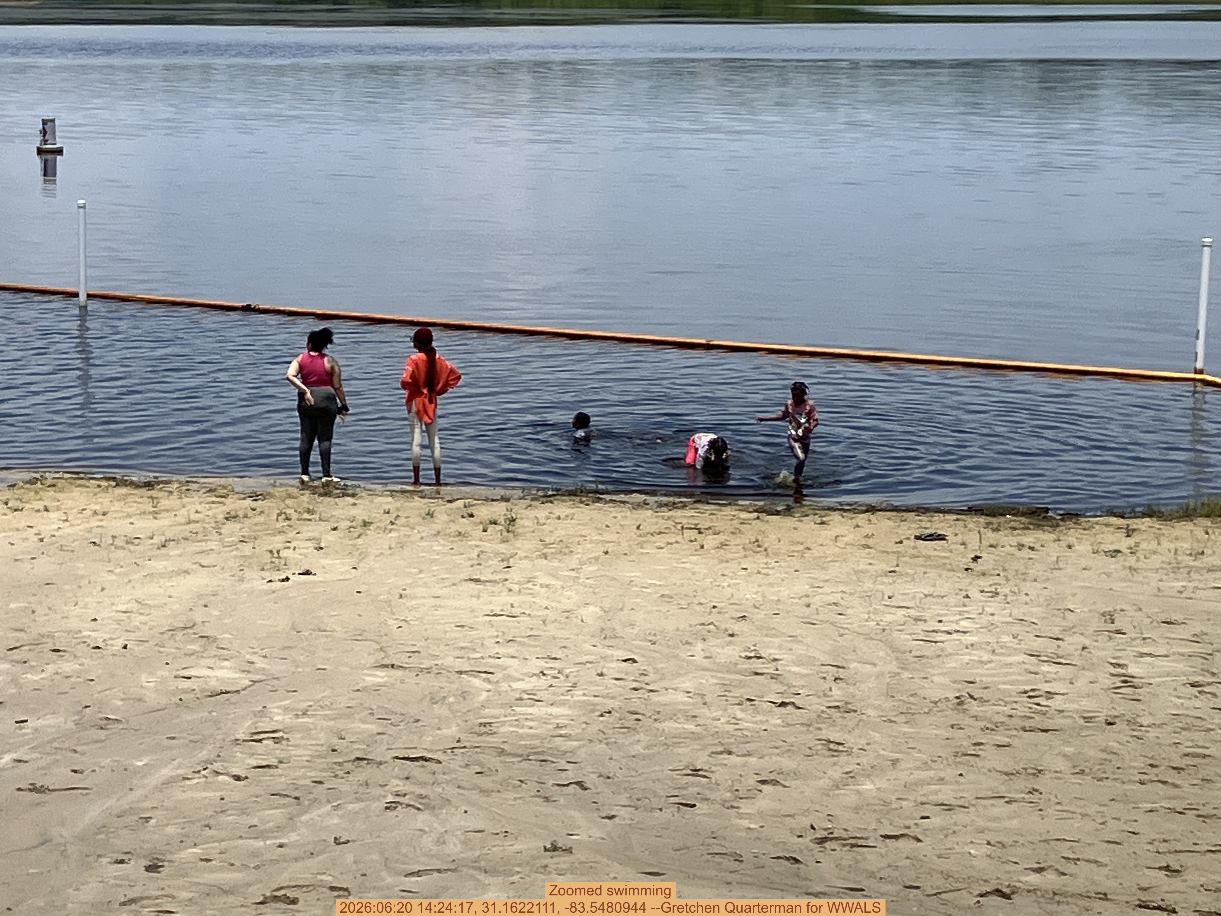Zoomed swimming, 2026:06:20 14:24:17, 31.1622111, -83.5480944 --Gretchen Quarterman for WWALS