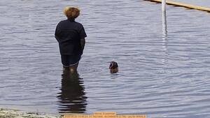 [Movie: A swimmer, 2026:06:20 14:48:23, 31.1621069, -83.5480678 (2.7M) --jsq for WWALS]