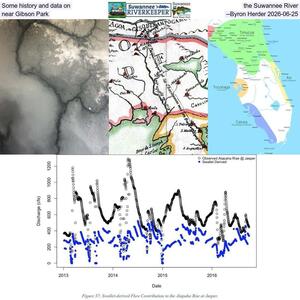 [Some history and data on the Suwannee River near Gibson Park --Byron Herder 2026-06-25]