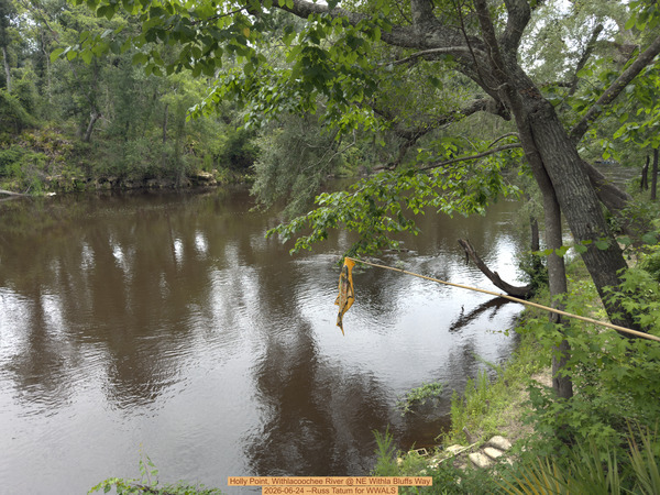 [Holly Point, Withlacoochee River @ NE Withla Bluffs Way 2026-06-24 --Russ Tatum for WWALS]