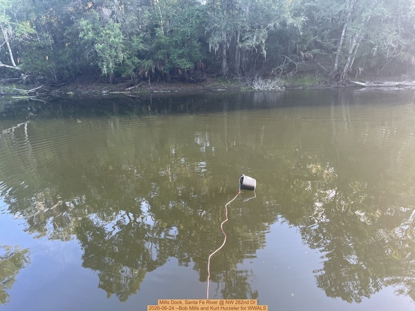 [Mills Dock, Santa Fe River @ NW 282nd Dr 2026-06-24 --Bob Mills and Kurt Hurzeler for WWALS]