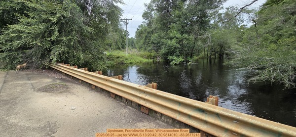 [Upstream, Franklinville Road, Withlacoochee River, 2026:06:25 --jsq for WWALS 13:20:42, 30.9814010, -83.2677213]