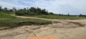 [Eroded access road, Langdale Park, Withlacoochee River, 2026:06:25 --jsq for WWALS 14:14:17, 30.8865343, -83.3176373]