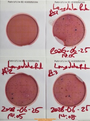 [Plates, Langdale Park, Withlacoochee River, 2026-06-25 --jsq for WWALS]