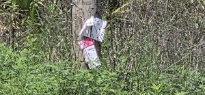[Signs on power pole, 2026:06:26 11:51:00, 31.0138148, -83.3013185]