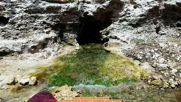 [Movie: Very green sulfur spring water, 2017:05:20 15:02:47, 30.390171, -82.926832, --jsq for WWALS]