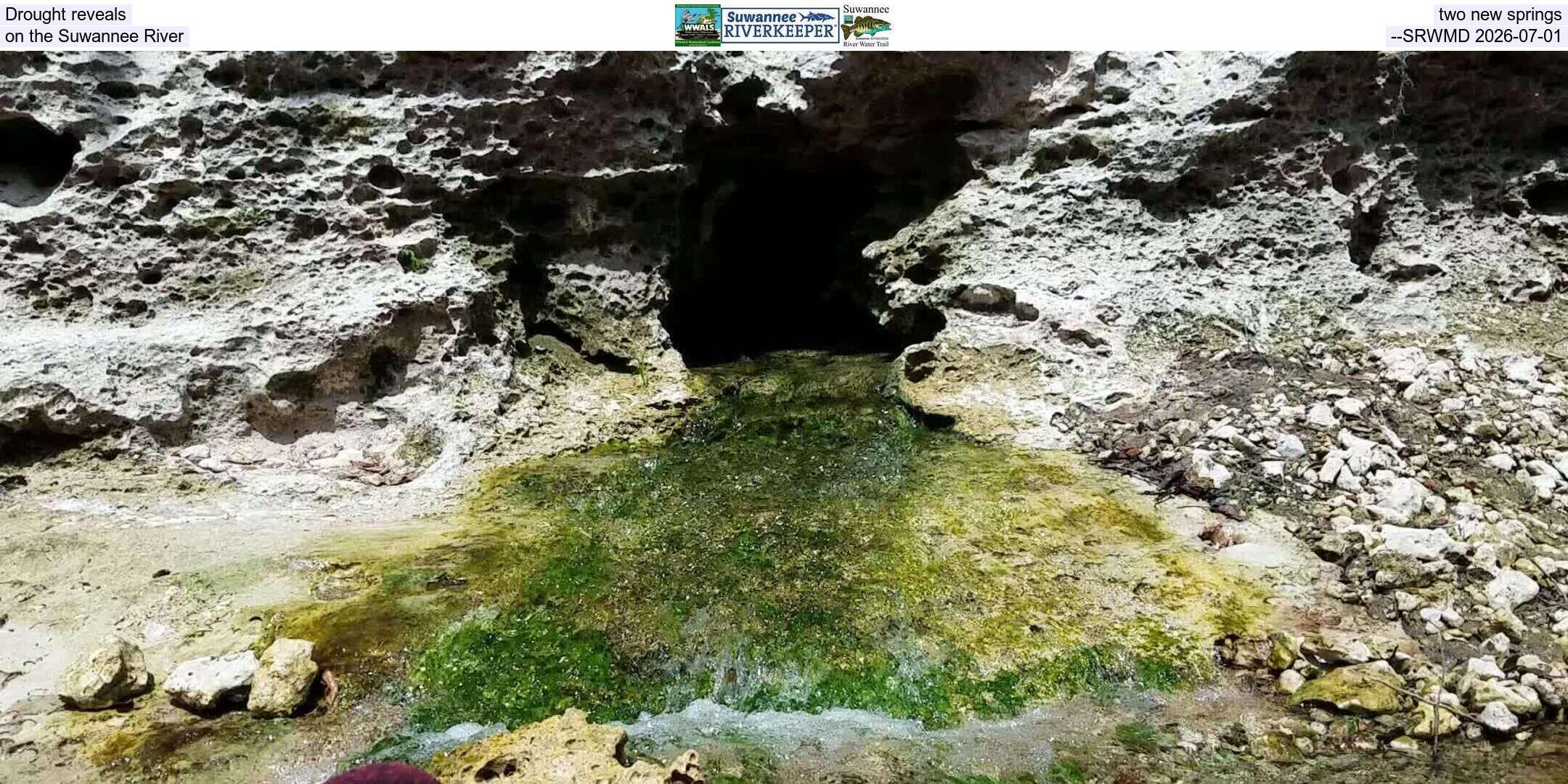 Drought reveals two new springs on the Suwannee River --SRWMD 2026-07-01