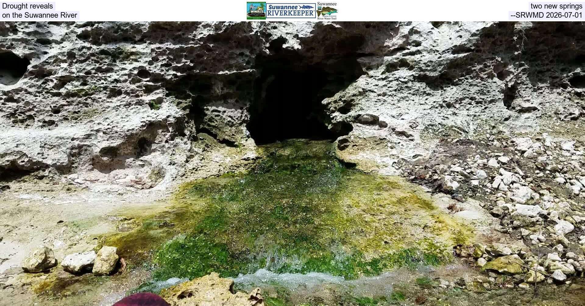 Drought reveals two new springs on the Suwannee River --SRWMD 2026-07-01