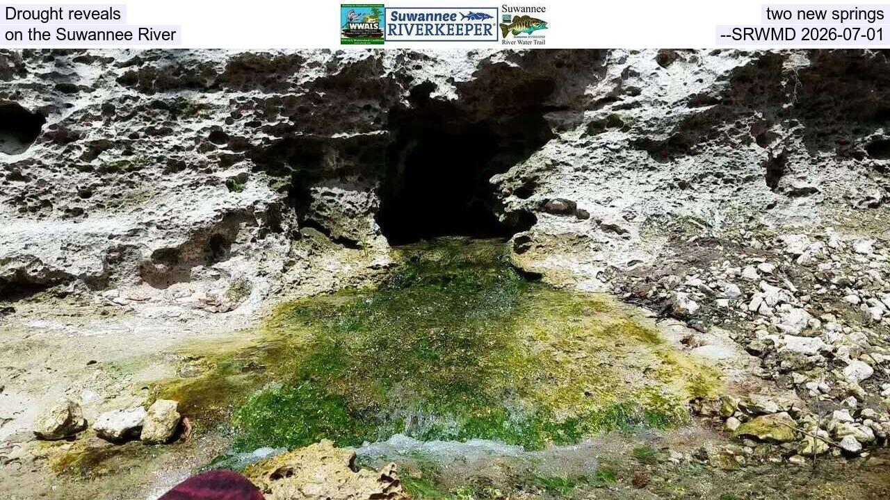 Drought reveals two new springs on the Suwannee River --SRWMD 2026-07-01