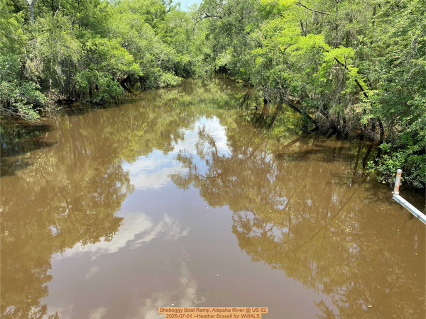 [Sheboggy Boat Ramp, Alapaha River @ US 82 2026-07-01 --Heather Brasell for WWALS]