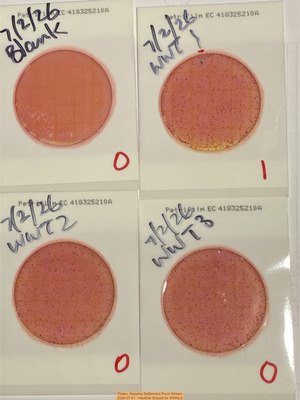[Plates, Alapaha Settlement Pond Stream 2026-07-01 --Heather Brasell for WWALS]