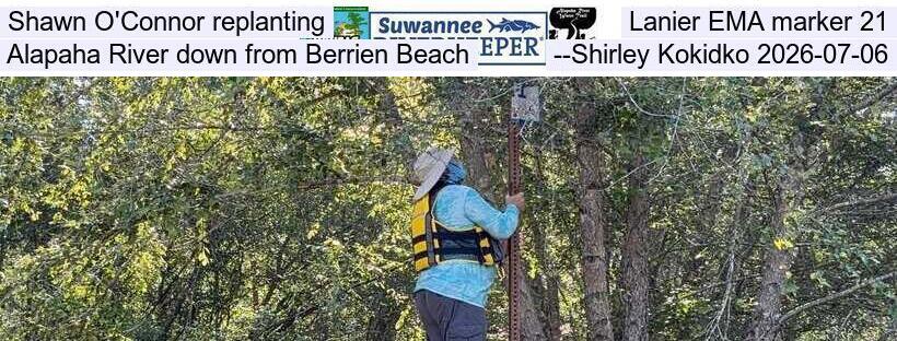 Shawn O'Connor replanting Lanier EMA marker 21, Alapaha River down from Berrien Beach, --Shirley Kokidko 2026-07-06