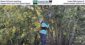 [Shawn O'Connor replanting Lanier EMA marker 21, Alapaha River down from Berrien Beach, --Shirley Kokidko 2026-07-06]