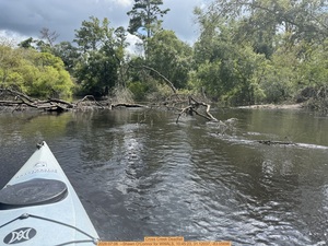 [Cross Creek Deadfall, 2026:07:06 --Shawn O'Connor for WWALS, 10:45:23, 31.12037, -83.05696]