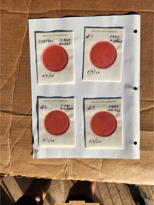 [Plates, Mills Dock 2026-07-09 --Bob Mills and Kurt Hurzeler for WWALS]