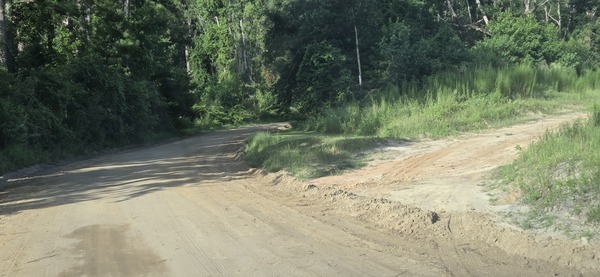 [Access road recently graded by Lowndes County Public Works, 2026:07:11 08:44:39, 30.8872157, -83.3165918]