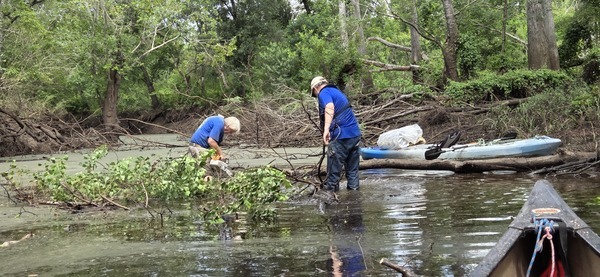 Phil sawing, Andrew removing sawed branches, 2026:07:11 11:13:33, 30.8820190, -83.3249559