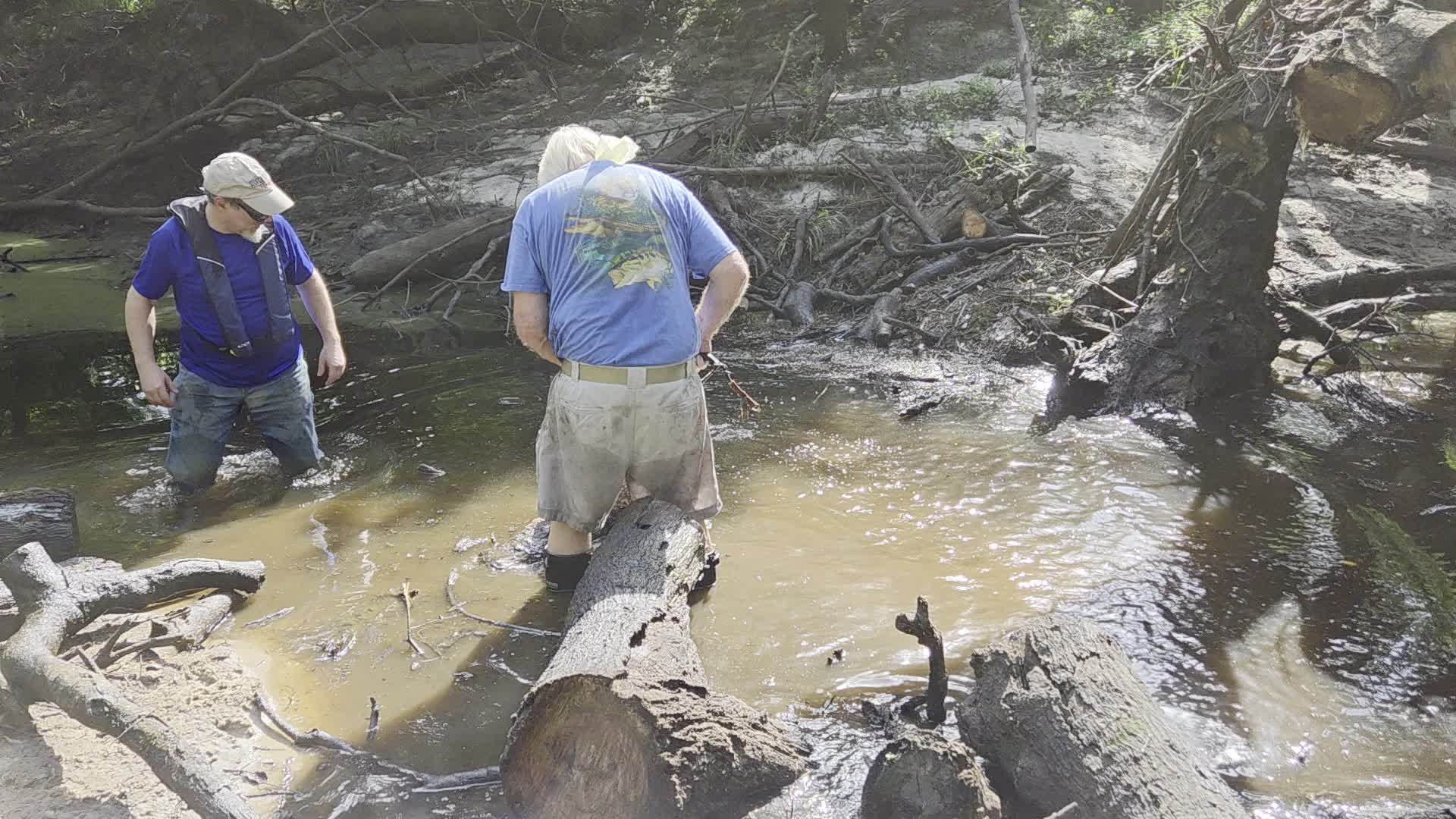 Movie: Phil Hubbard sawing first deadfall, Andrew Reinleib removing limbs, 2026:07:11 09:56:45, 30.8859488, -83.3245417 (32M)