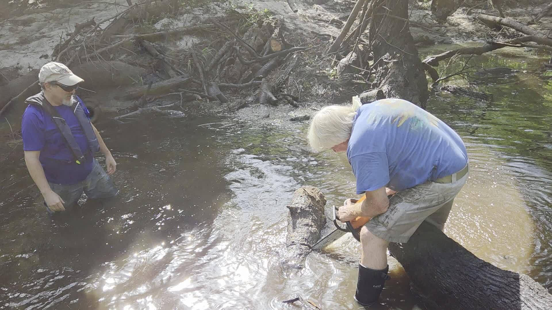 Movie: First deadfall sawed off, 2026:07:11 09:57:18, 30.8859488, -83.3245417 (15M)