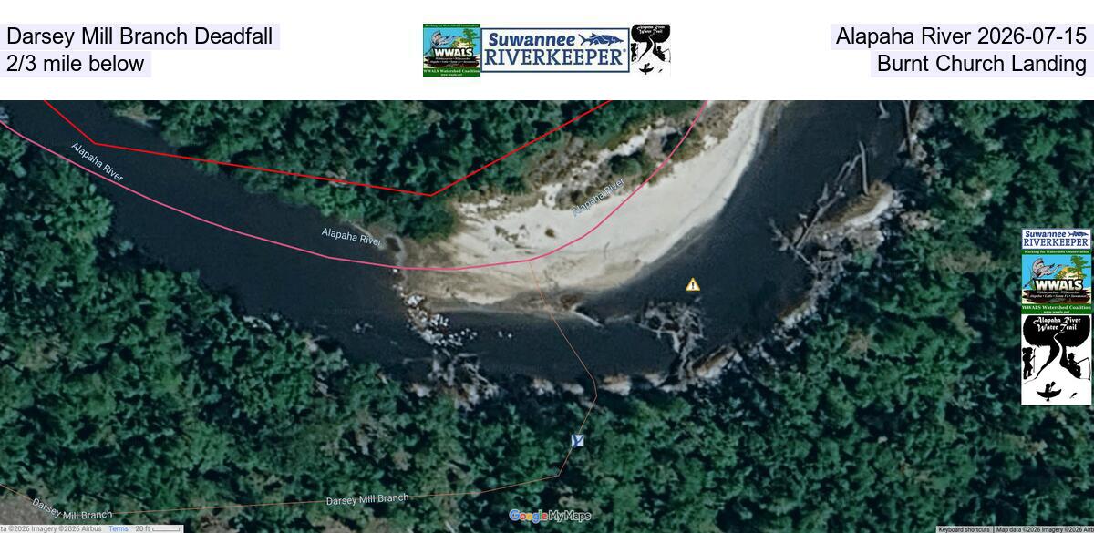 [Darsey Mill Branch Deadfall, Alapaha River 2026-07-15, 2/3 mile below Burnt Church Landing]