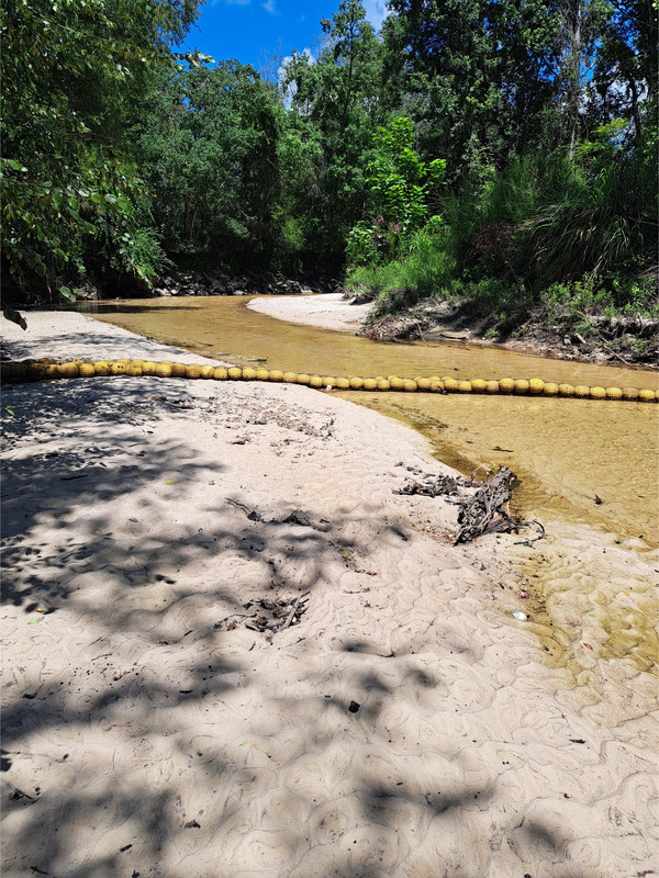 [Sugar Creek @ WaterGoat 2026-07-15 --Suzy Hall for WWALS]