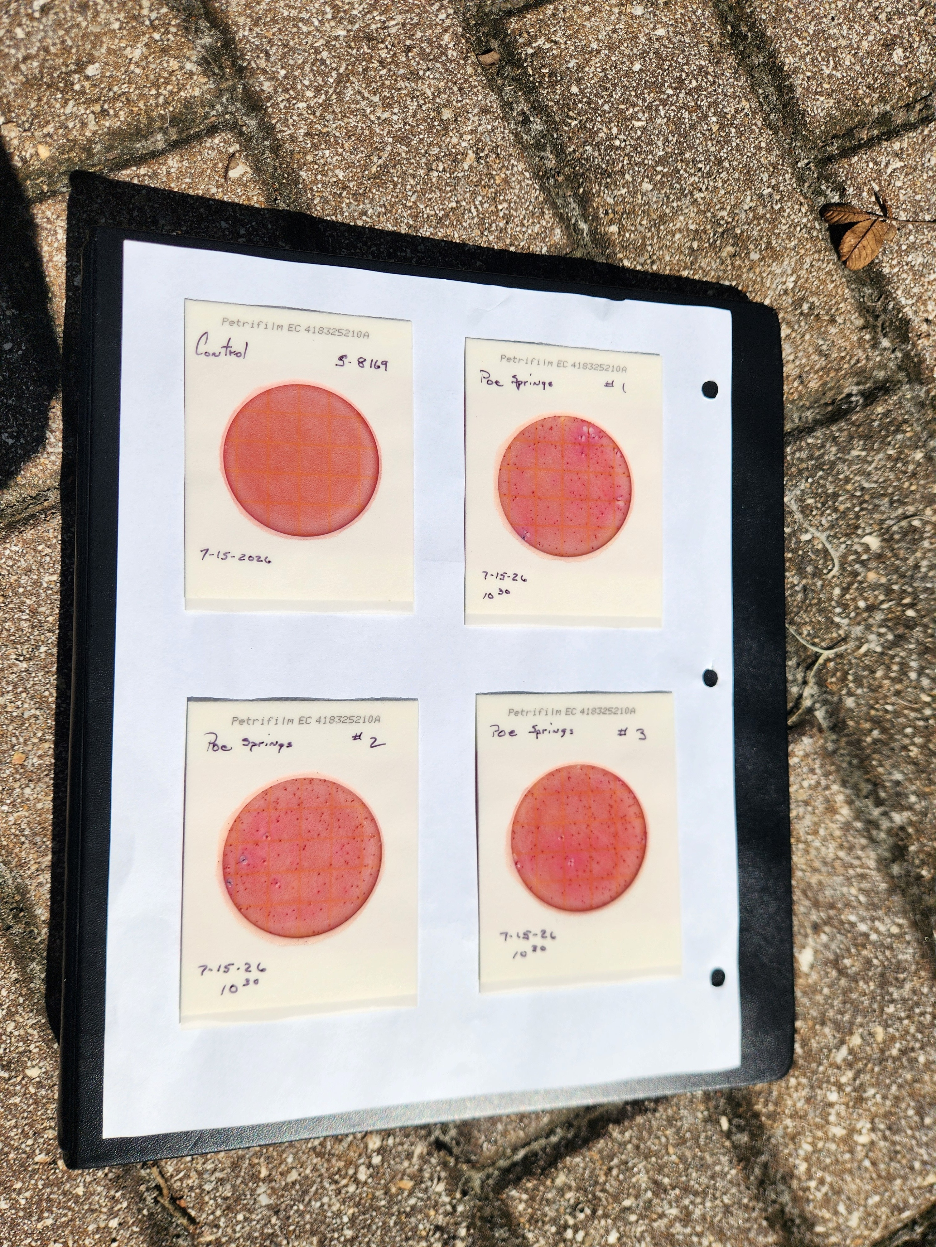 Plates, Poe Springs, 2026-07-25 --Bob Mills and Kurt Hurzeler for WWALS