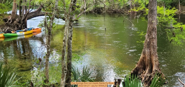[Poe Springs Run run meets Santa Fe River, 2022-04-21 --jsq for WWALS]