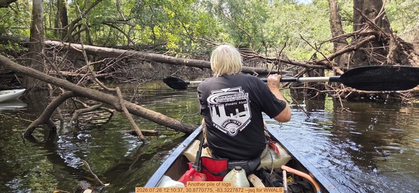 [Another pile of logs, 2026:07:26 12:10:37, 30.8770775, -83.3227872 --jsq for WWALS]