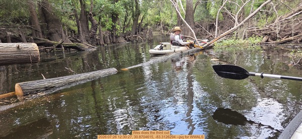 [Wes does the third cut, 2026:07:26 12:30:27, 30.8704615, -83.3126294 --jsq for WWALS]