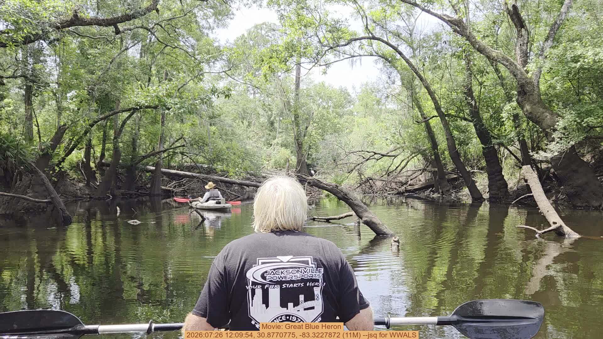 Movie: Great Blue Heron, 2026:07:26 12:09:54, 30.8770775, -83.3227872 (11M) --jsq for WWALS