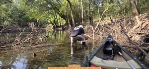 [Water sawing, 2026:07:26 09:47:57, 30.8825756, -83.3241082 --jsq for WWALS]