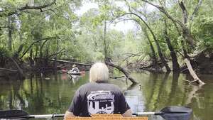 [Movie: Great Blue Heron, 2026:07:26 12:09:54, 30.8770775, -83.3227872 (11M) --jsq for WWALS]