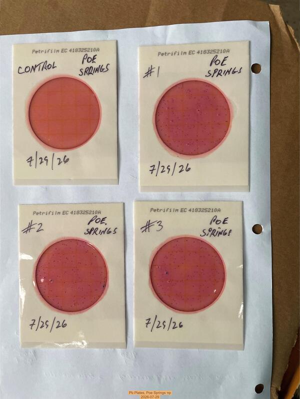 [Plates, Poe Springs 2026-07-29]