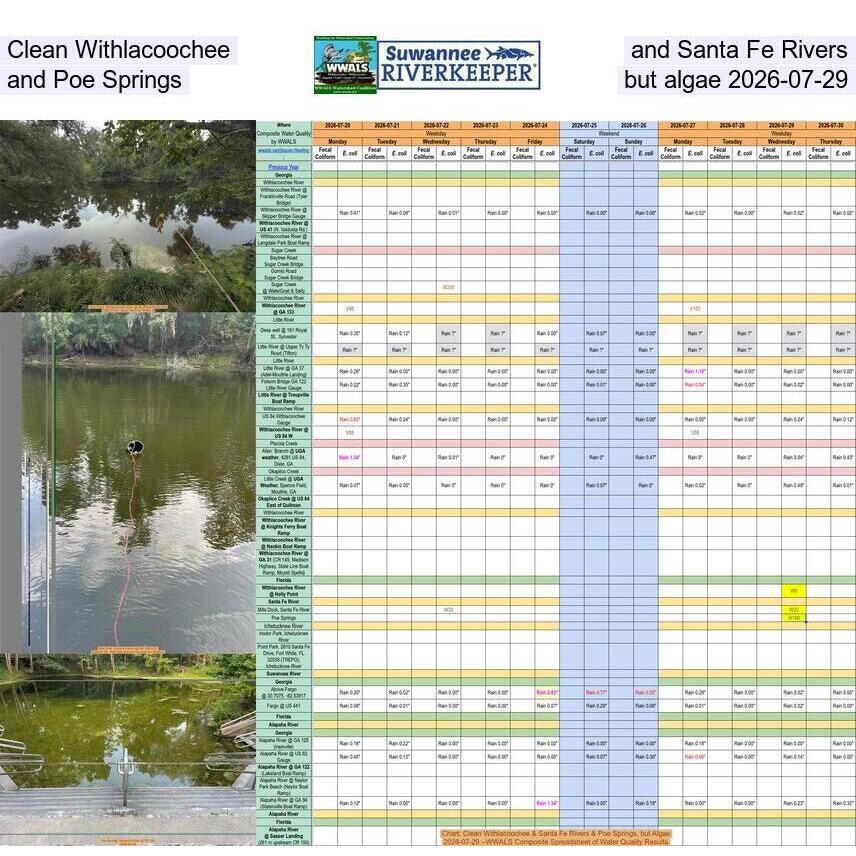 Clean Withlacoochee and Santa Fe Rivers and Poe Springs, but algae 2026-07-29