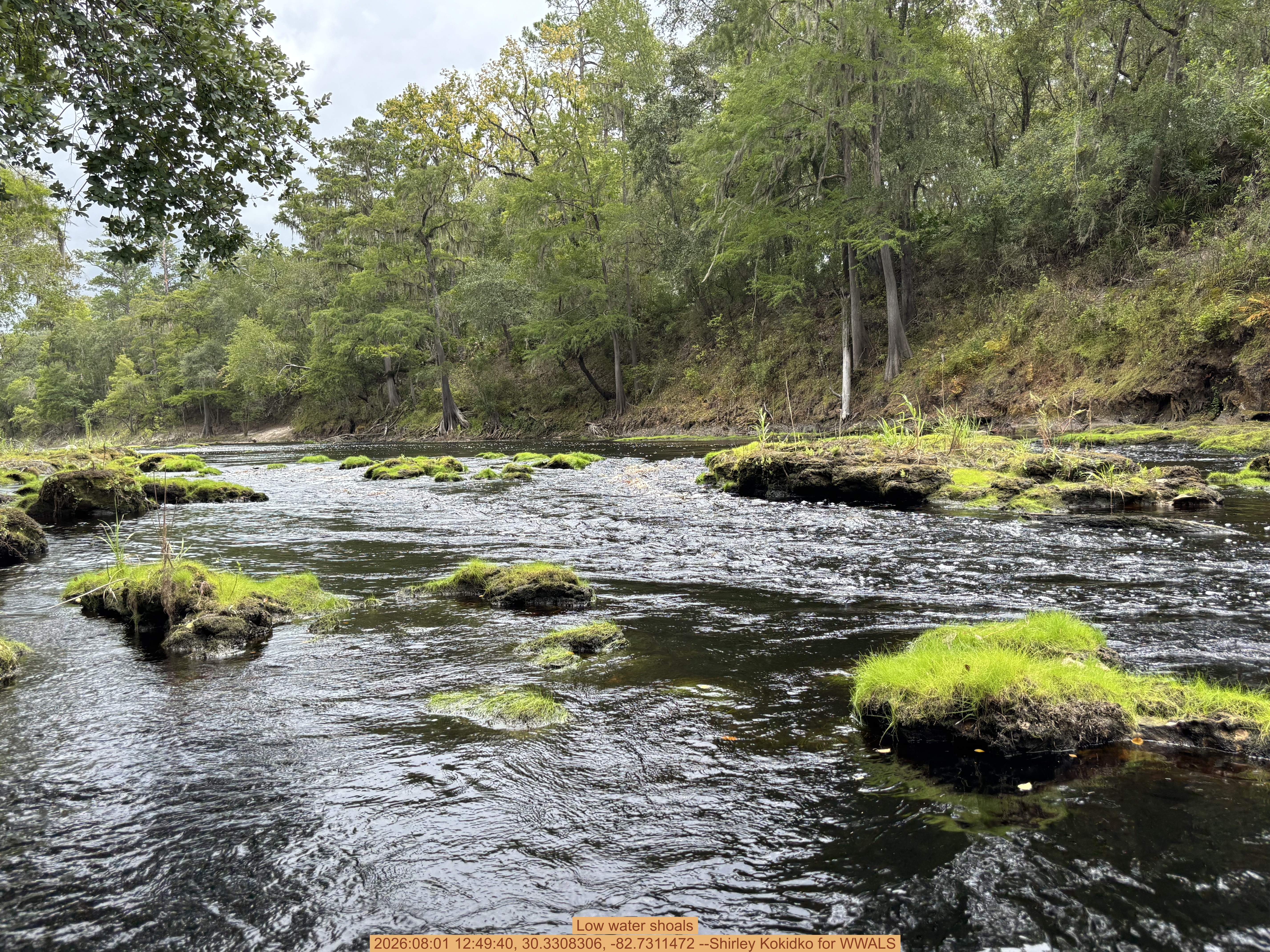 Low water shoals, 2026:08:01 12:49:40, 30.3308306, -82.7311472 --Shirley Kokidko for WWALS