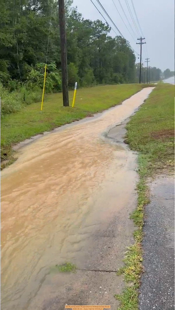 [Silt Running down Road Ditch to Withlacoochee River, 2026-08-03 --Suzy Hall for WWALS]