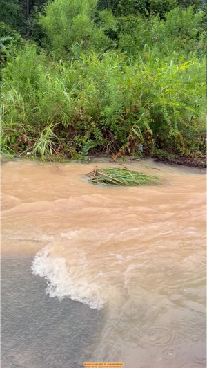 [Movie: Runoff in road ditch, St. Augustine Road, 2026-08-03 --Suzy Hall for WWALS]