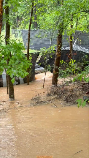 [Movie: Runoff coming out of construction site, 2026-08-03 --Suzy Hall for WWALS]