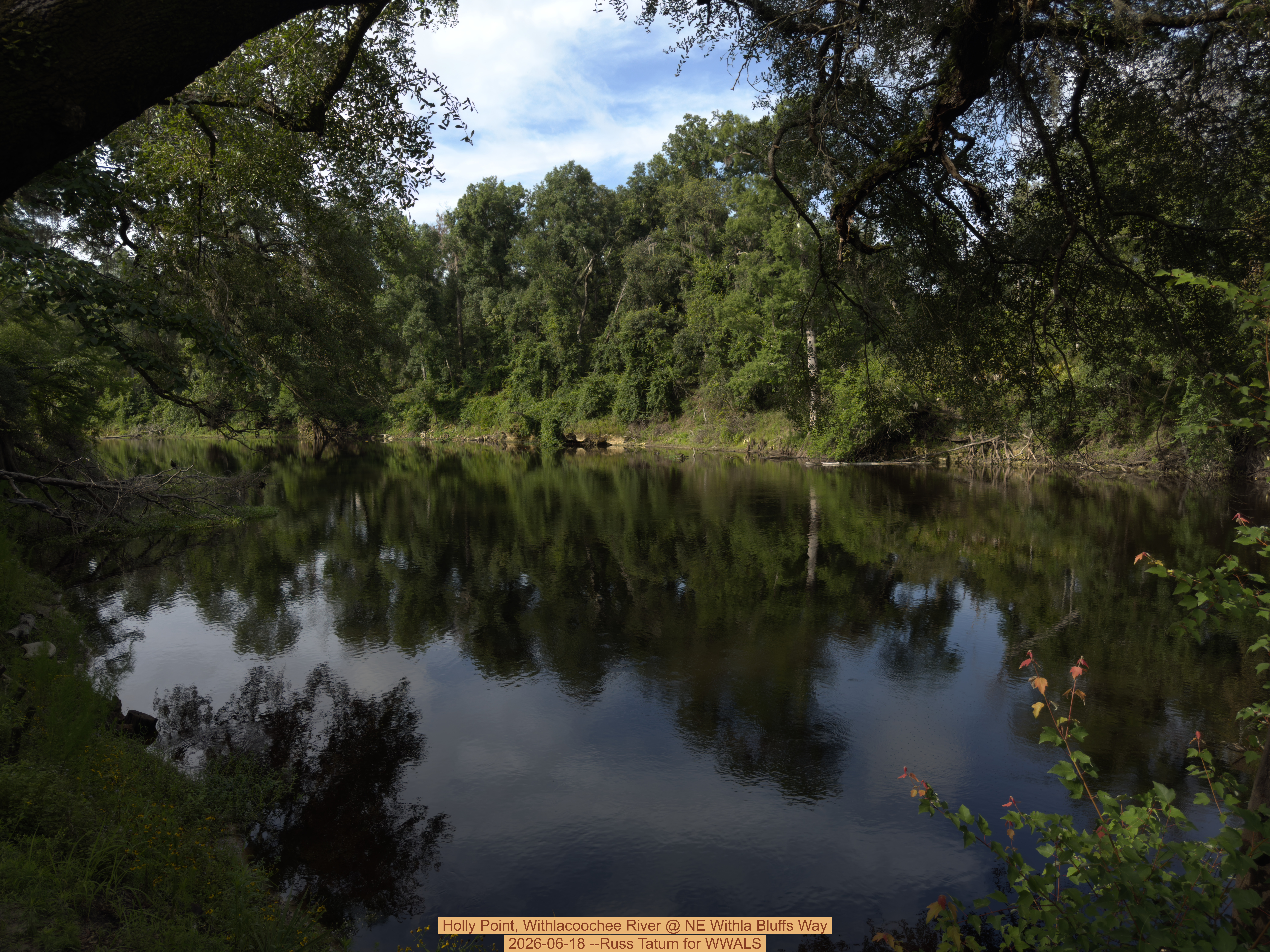 Holly Point, Withlacoochee River @ NE Withla Bluffs Way 2026-06-18 --Russ Tatum for WWALS