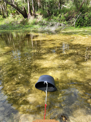 [Poe Springs, Santa Fe River @ CR 340 2026-07-25 --Bob Mills and Kurt Hurzeler for WWALS]