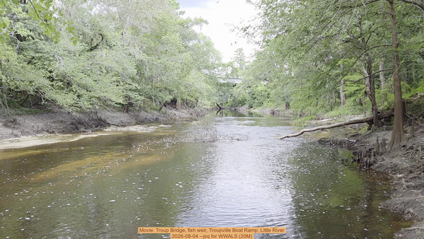 [Movie: Troup Bridge, fish weir, Troupville Boat Ramp, Little River, 2026-08-04 --jsq for WWALS (20M)]