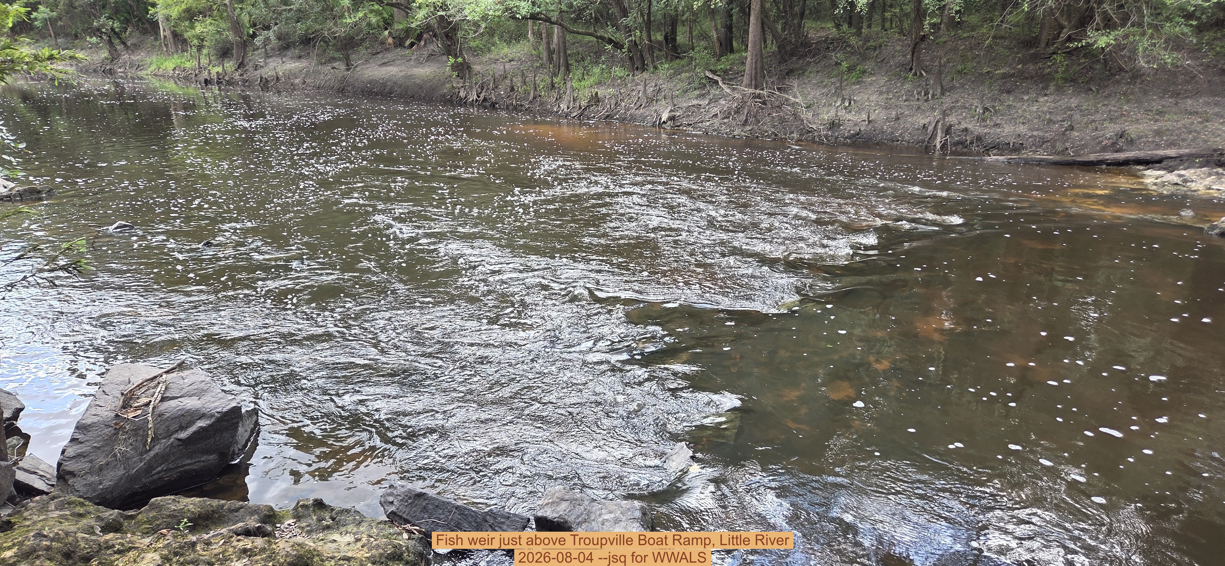 Fish weir just above Troupville Boat Ramp, Little River, 2026-08-04 --jsq for WWALS